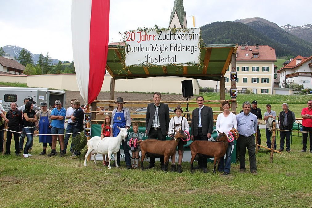 Ziegenfest mit Ausstellung
