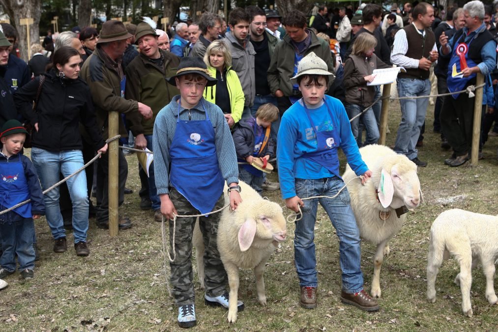 Tätigkeitsbericht 2025