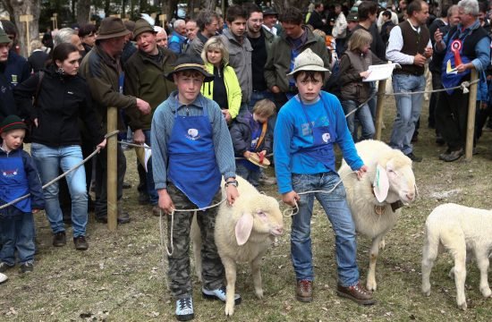 Tätigkeitsbericht 2025