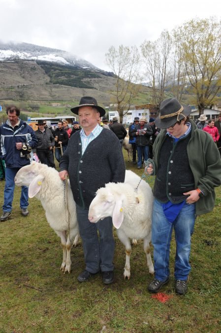 Gebietsschaufausstellung 3 Bezirke Vinschgau