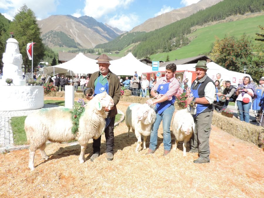 Bezirkskörung Untervinschgau und Mittelvinschgau