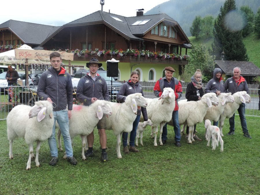 Bezirkskörung Pustertal mit Bezirkswidderschau