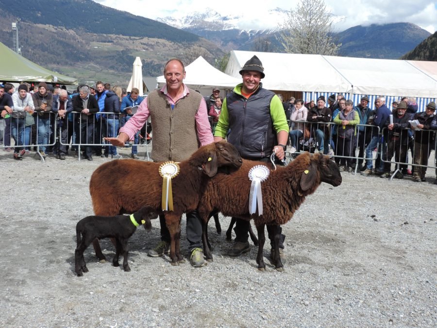 11. Gebietsausstellung Vinschgau