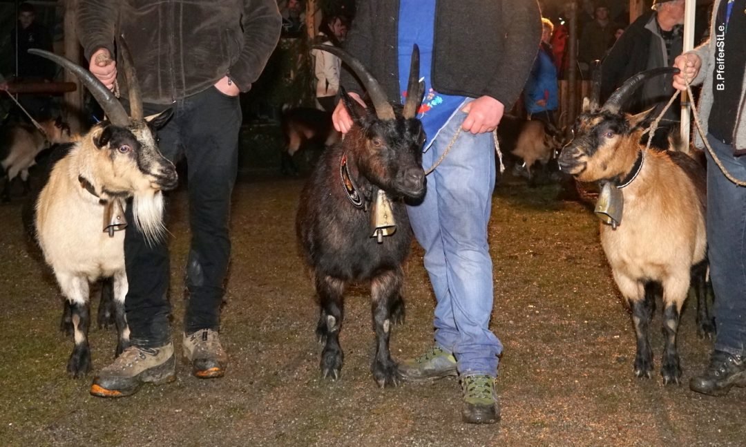 Goasausstellung des ZZV Passeier