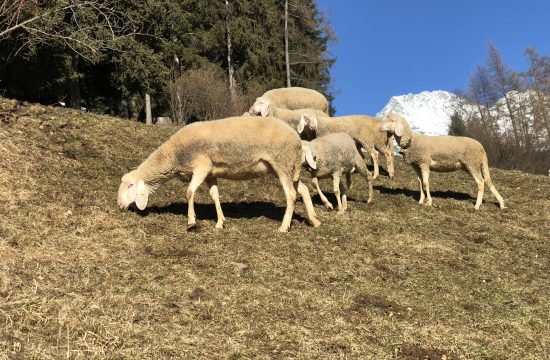 Rundschreiben Nr. 3