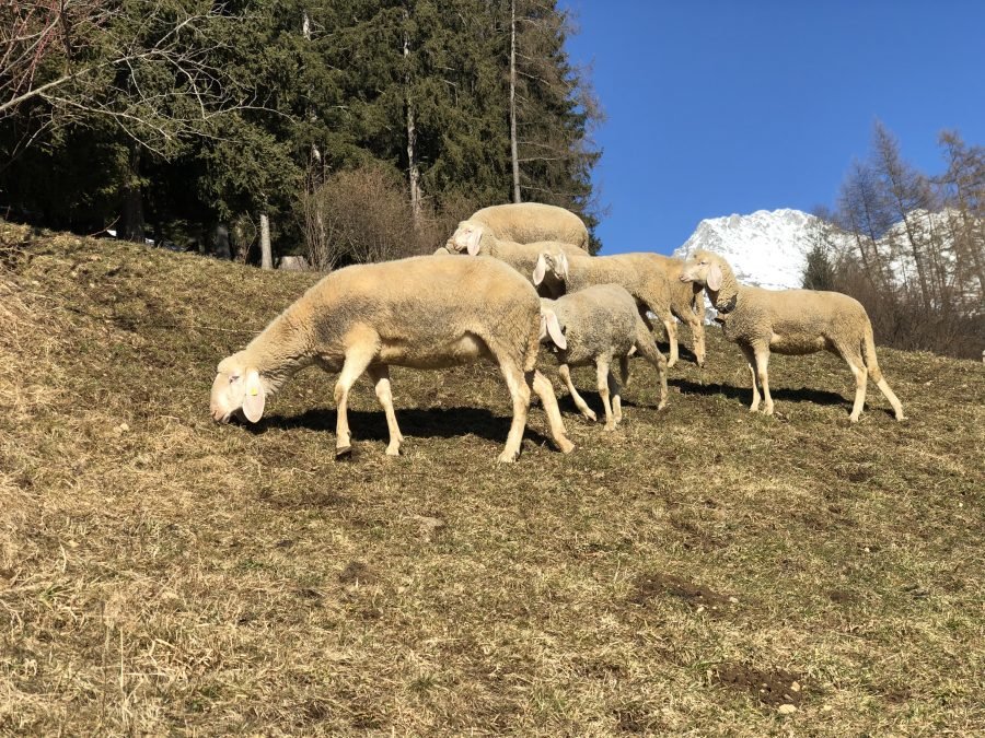 Rundschreiben Nr. 3