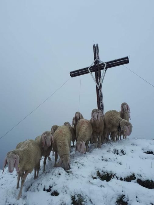 Rundschreiben Nr. 1 von 2022