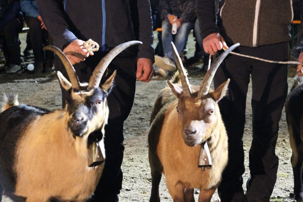 Ausstellung des ZZV Ratschings