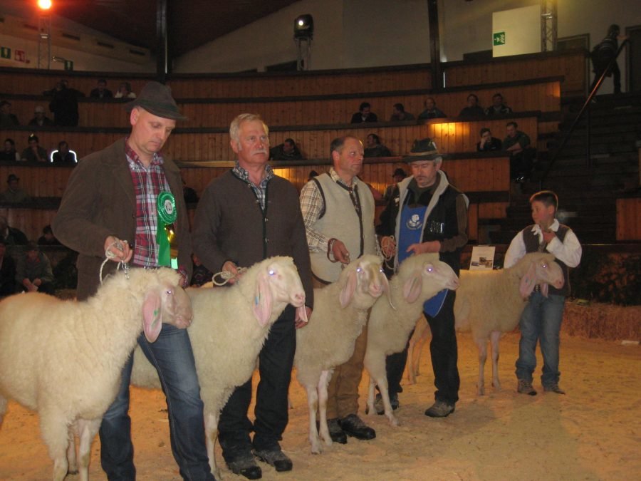 Night Show des SZV Schluderns