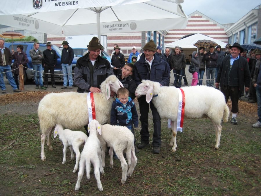 Bezirkskörung Obervinschgau