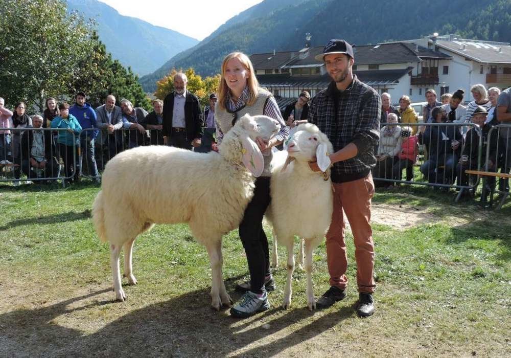 Kleintierzüchter Südtirol