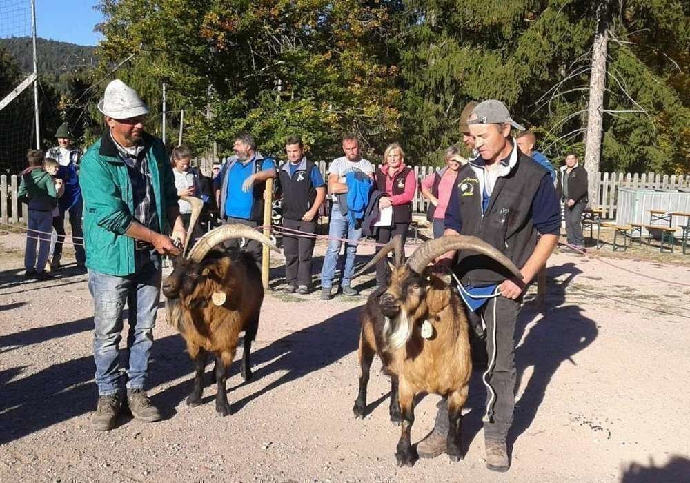 Kleintierzüchter Südtirol