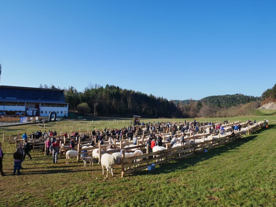 Bezirksausstellung Eisacktal am Ritten