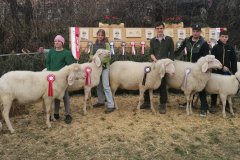 1. Jungzüchterausstellung in Schluderns