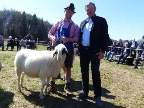 1.-Landesausstellung-aller-Schafrassen-am-Ritten-54