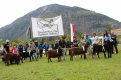 19. Gebietsausstellung Pustertal