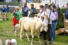 2. Jungzüchtergruppenausstellung in Ratschings