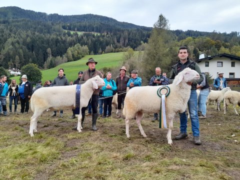 Tages- und Reservesieger TB Widder