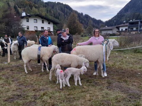Tages- und Reservesieger TB Schafe mit Lamm