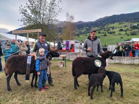 Tages- und Reservesieger SB Schafe mit Lamm