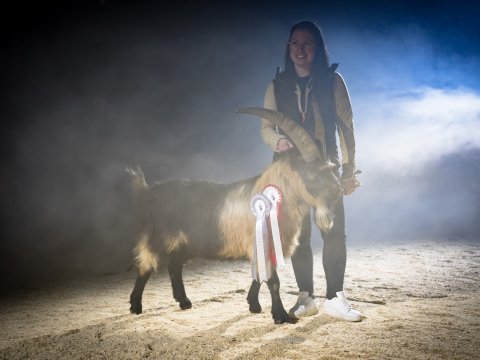 FotoArmin-03_NZ91962-