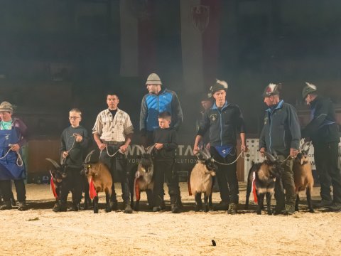 FotoArmin-05_NZ92006-