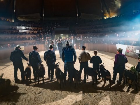 FotoArmin-07_Z8A4407-