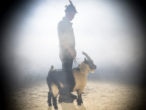 FotoArmin-08_NZ92011-