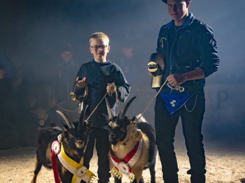 FotoArmin-10_NZ92068-