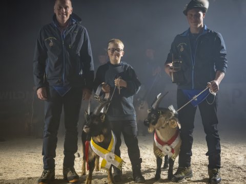 FotoArmin-11_NZ92079-