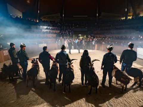 FotoArmin-13_Z8A4416-