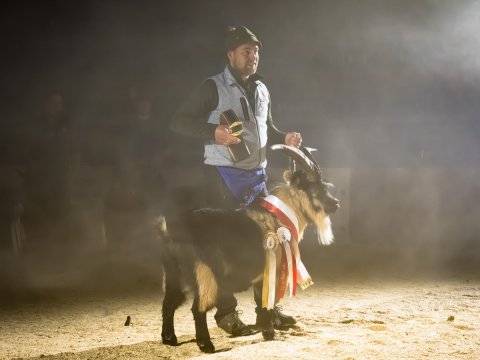 FotoArmin-14_NZ92136-