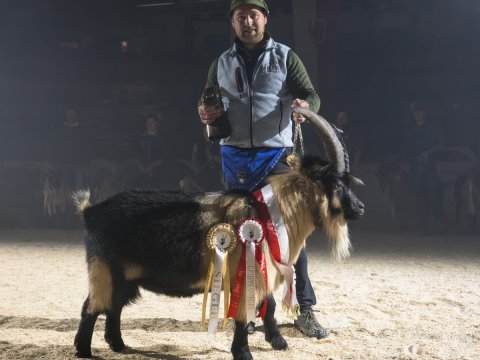 FotoArmin-16_NZ92146-