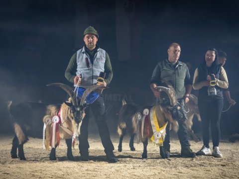 FotoArmin-19_NZ92181-