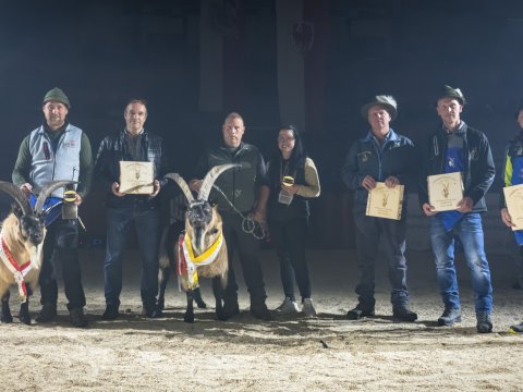 FotoArmin-22_NZ92202-