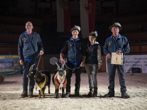 FotoArmin-25_NZ92261-