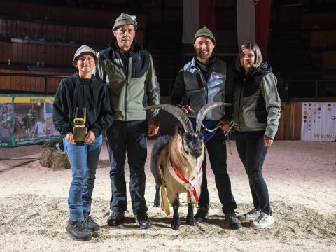 FotoArmin-26_NZ92275-