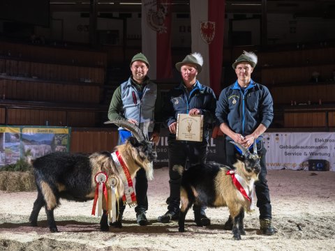 FotoArmin-27_NZ92283-