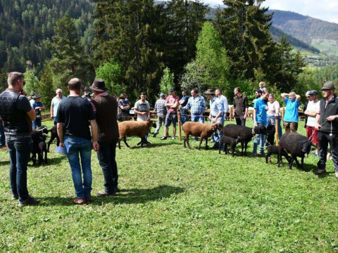 25-jähriges-Jubiläum-des-SZV-Stilfs-10