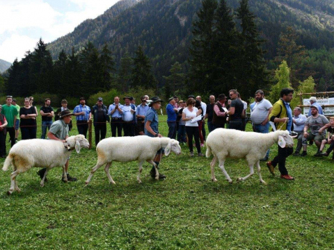 25-jähriges-Jubiläum-des-SZV-Stilfs-2