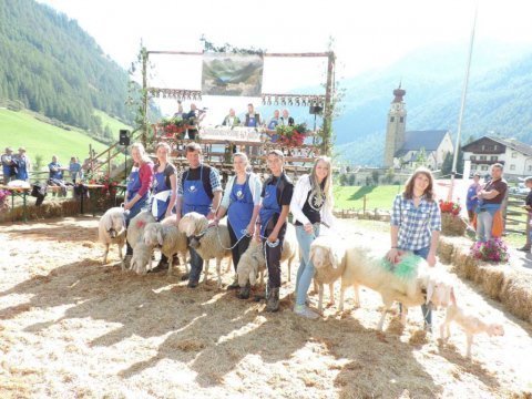 40-Jahre-SZV-Schnals-1