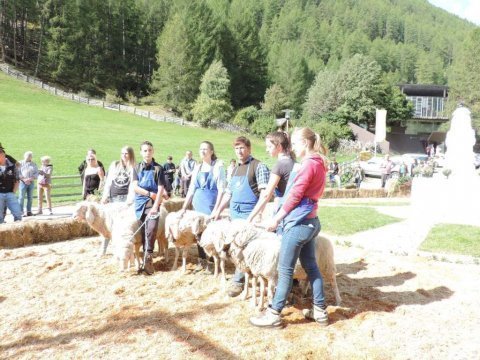 40-Jahre-SZV-Schnals-2