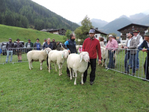 50-Jahr-Jubiläum-des-SZV-Ahrntal-3