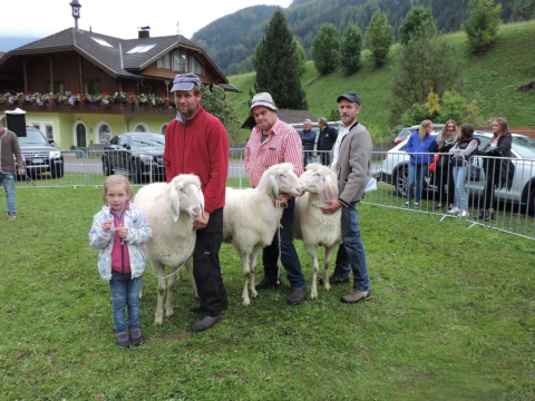 50-Jahr-Jubiläum-des-SZV-Ahrntal-5