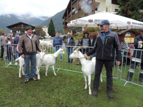 50-Jahr-Jubiläum-des-SZV-Ahrntal-6