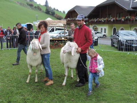 50-Jahr-Jubiläum-des-SZV-Ahrntal-8