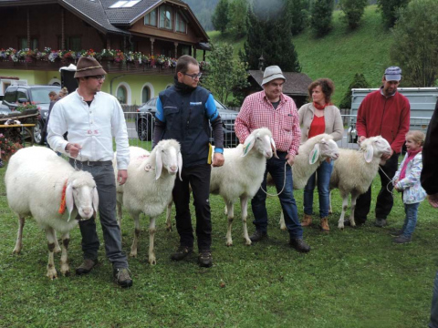 50-Jahr-Jubiläum-des-SZV-Ahrntal-9