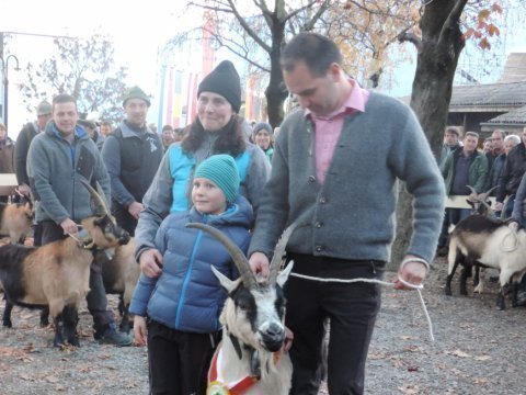 6.-Goasausstellung-des-SZV-Burggrafenamt-19