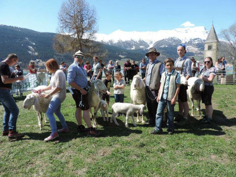 60-jähriges-Jubiläum-des-SZV-Obervinschgau-10