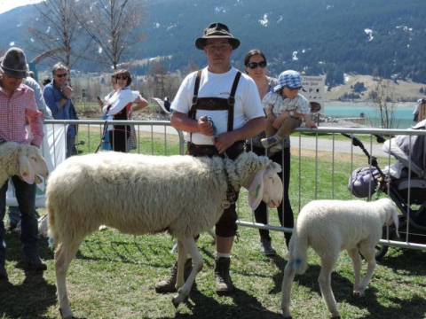 60-jähriges-Jubiläum-des-SZV-Obervinschgau-12